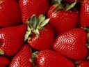 Jagode